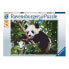 Фото #2 товара RAVENSBURGER Oso Panda Puzzle 500 Pieces