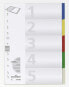 Durable Indexes with Printed and 5 Coloured Tabs - Blank tab index - Polypropylene (PP) - Multicolour - Portrait - A4 - 220 mm