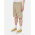 DICKIES Duck Canvas shorts