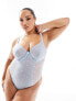 Фото #1 товара Ivory Rose Curve Clara C-G mesh jacquard bodysuit in blue