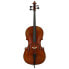 Lothar Semmlinger No. 134A Antiqued Cello 7/8