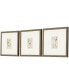 Antique-Like Botanical II Framed Art, Set of 3