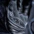 Фото #5 товара FIVE RFX WP gloves