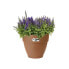 Elho Vibia Campana Runder Blumenkasten 55 Braun 55 x H 47 cm Auenbereich 100 % recycelt