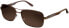 Фото #1 товара Carrera Sunglasses 8018/S