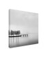 Фото #2 товара George Digalakis Pier with Trees Canvas Art - 15" x 20"