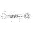 Фото #3 товара EUROMARINE 9050 A4 5x40 mm Z Chipboard Screw 50 Units