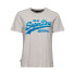 Фото #3 товара SUPERDRY Vl Scripted Coll T-shirt