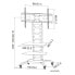 Фото #6 товара Techly ICA-TR8 - 68 kg - 177.8 cm (70") - 81.3 cm (32") - 800 x 400 mm - 800 x 400 mm - 1220 - 1450 mm