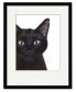 Фото #1 товара Cat, Portrait of Gus 16" x 20" Framed and Matted Art