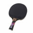 Фото #9 товара Conrilleau Excell Carbon 3000 table tennis bats