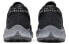 Nike Pegasus Trail 2 CK4305-002 Running Shoes
