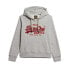 Фото #2 товара SUPERDRY Chenille Vl Graphic hoodie