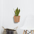 Фото #3 товара Modern Amsterdam Round Wall Flower Pot, 8in