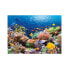 Фото #2 товара Пазл морской пейзаж от Castorland "Коралловые рыбы" 1000 элементов