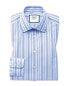 Фото #1 товара Charles Tyrwhitt Extra Slim Fit Egyptian Stripe Shirt Men's