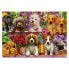 Фото #1 товара Puzzle Hunde im Regal 500 Teile