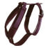 Фото #1 товара KENTUCKY Active Velvet Harness