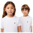 Фото #5 товара LACOSTE TJ1122 short sleeve T-shirt