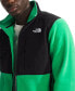 Men's Denali Fleece Jacket