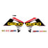 Фото #1 товара DCOR VISUALS Geico Team Honda Radiator/Rocker Graphics Kit