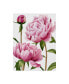 Фото #1 товара Grace Popp Winsome Peonies I Canvas Art - 20" x 25"