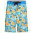 Фото #1 товара HURLEY Cabana Kids Swimming Shorts