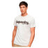 Фото #1 товара SUPERDRY Terrain Logo Classic short sleeve T-shirt
