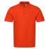 Фото #4 товара REGATTA Sinton short sleeve polo