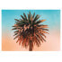 Фото #1 товара Wandbild Palm Tree