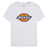 Фото #4 товара DICKIES Youth Logo short sleeve T-shirt