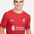 Фото #6 товара NIKE Liverpool FC Dri Fit Advantage Match Home 22/23 Short Sleeve T-Shirt