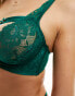 Фото #6 товара Hunkemoller Iggy strapping detail bra with lace high apex in green
