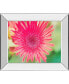 Pink Gerbera by Susan Bryant Mirror Framed Print Wall Art, 22" x 26"