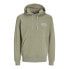 JACK & JONES Sequoia hoodie