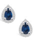 Sapphire (1 Ct. t.w.) and Diamond (1/6 Ct. t.w.) Halo Stud Earrings