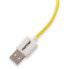 Фото #3 товара PANTONE UNIVERSE CELPT-USB003Y1 3 In 1 Micro USB To Lightning cable