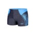 SPEEDO Logo Panel Boxer