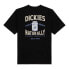 ფოტო #5 პროდუქტის DICKIES Elliston short sleeve T-shirt