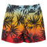 Фото #4 товара QUIKSILVER Mix Vly 14´´ Swimming Shorts
