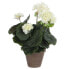 Фото #2 товара Декоративное искусственное растение MICA Decorations Герань из ПВХ