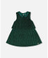 ფოტო #1 პროდუქტის Toddler Girls Sleeveless Dress With Eyelet Collar Forest Green - Toddler|Child