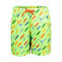 CMP Swimming 31R9104 Shorts