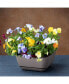 Фото #3 товара Садовый горшок для цветов NOVELTY, внутренний/наружный, квадратный, цвета топаз, 12"
