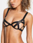 Фото #1 товара Bluebella slade bra in black