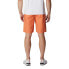 Фото #2 товара COLUMBIA Washed Out Shorts