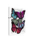 Fab Funky Big Bold Butterflies 3 Canvas Art - 19.5" x 26"