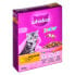 Фото #3 товара WHISKAS 5900951014079 Kitten Chicken 300g Cat Feed