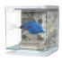 Фото #2 товара MARINA Betta Skull aquarium kit