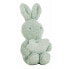 Фото #1 товара Детский подарочный набор Coralina Плюшевый Одеяло Кролик 100 x 75 cm